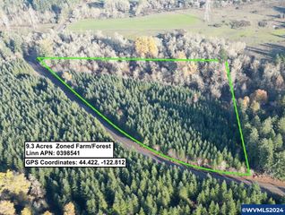 28289 Scott Mountain (Next to) Rd, Sweet Home, OR 97386