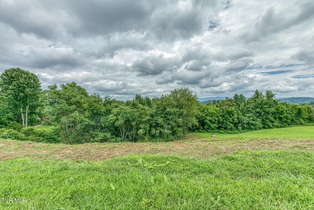 119 Simmons Ridge, Johnson City, TN 37604