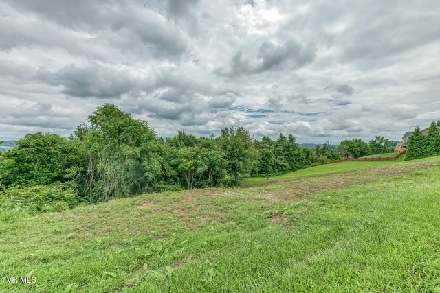 119 Simmons Ridge, Johnson City, TN 37604