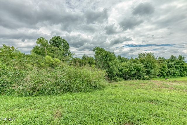 119 Simmons Ridge, Johnson City, TN 37604