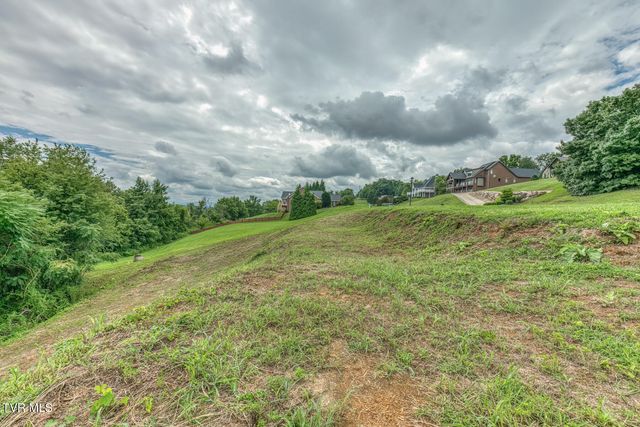 119 Simmons Ridge, Johnson City, TN 37604