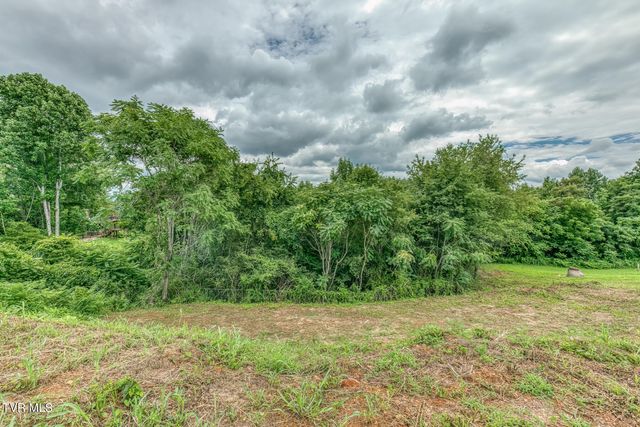 119 Simmons Ridge, Johnson City, TN 37604