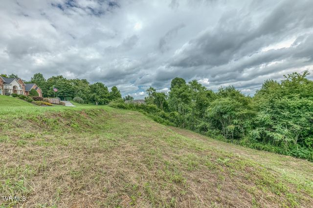 119 Simmons Ridge, Johnson City, TN 37604