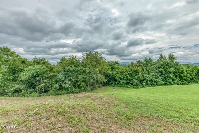 119 Simmons Ridge, Johnson City, TN 37604