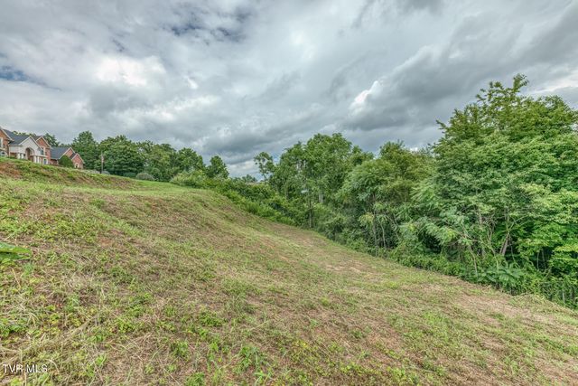 119 Simmons Ridge, Johnson City, TN 37604
