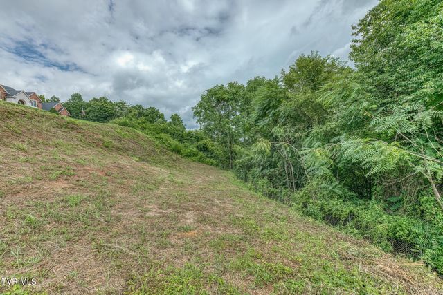 119 Simmons Ridge, Johnson City, TN 37604