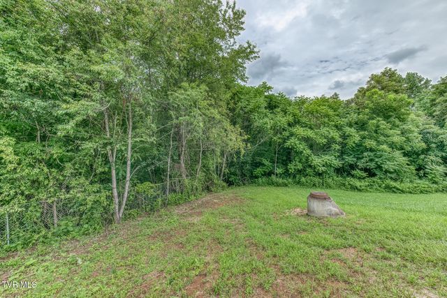 119 Simmons Ridge, Johnson City, TN 37604