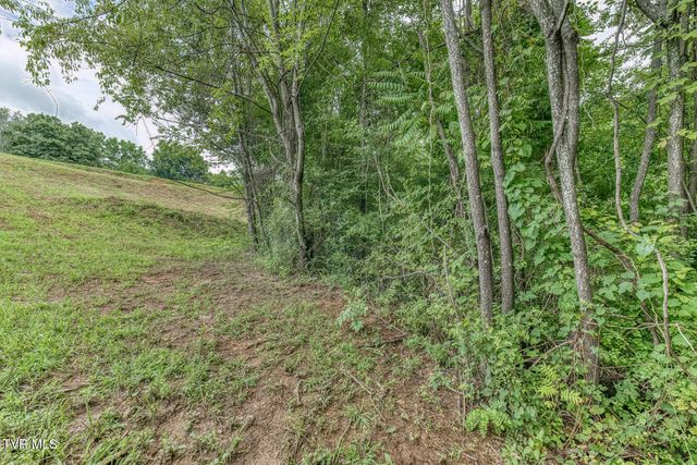 119 Simmons Ridge, Johnson City, TN 37604
