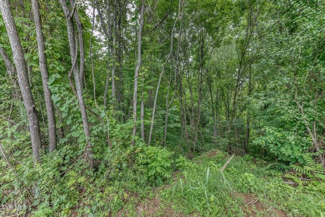 119 Simmons Ridge, Johnson City, TN 37604
