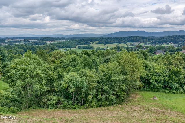 119 Simmons Ridge, Johnson City, TN 37604