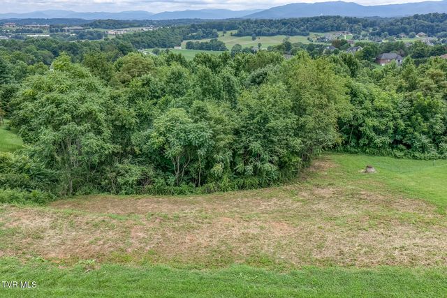 119 Simmons Ridge, Johnson City, TN 37604