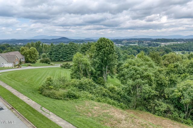 119 Simmons Ridge, Johnson City, TN 37604