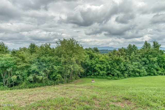 119 Simmons Ridge, Johnson City, TN 37604