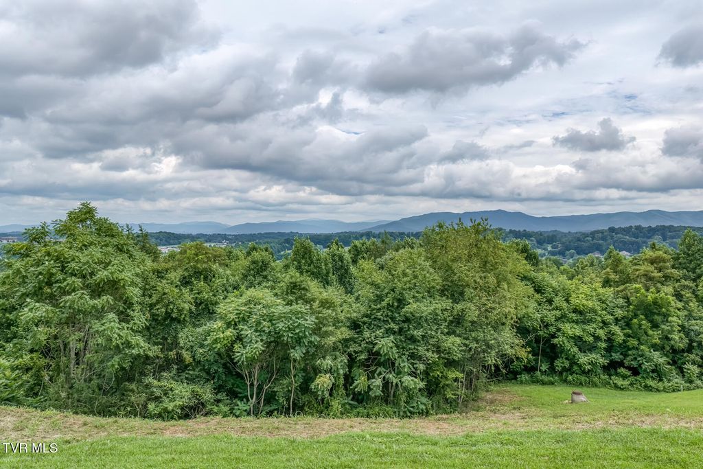 119 Simmons Ridge, Johnson City, TN 37604