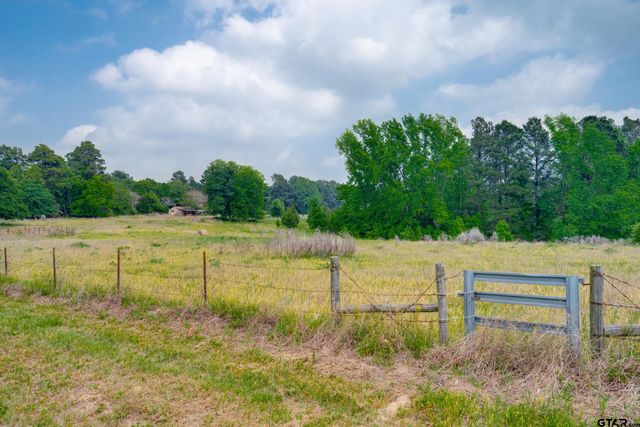 1054 AN COUNTY ROAD 415, Palestine, TX 75801