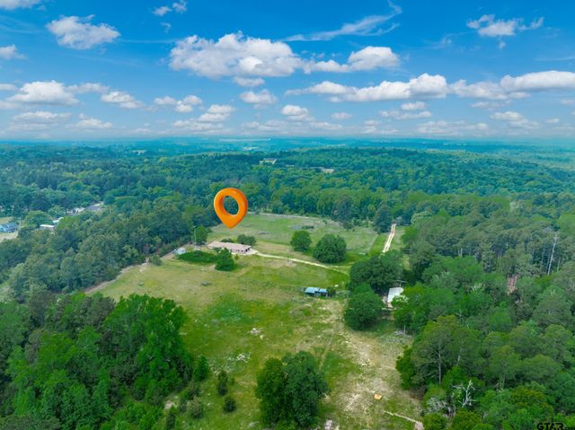 1054 AN COUNTY ROAD 415, Palestine, TX 75801