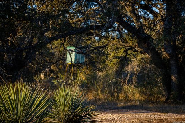 19512 Tonkawa Pass, Garden Ridge, TX 78266