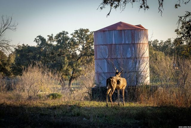 19512 Tonkawa Pass, Garden Ridge, TX 78266