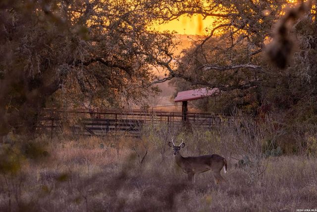 19512 Tonkawa Pass, Garden Ridge, TX 78266