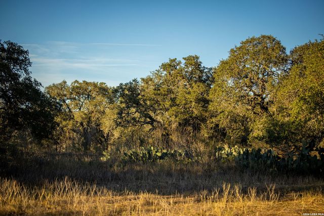 19512 Tonkawa Pass, Garden Ridge, TX 78266