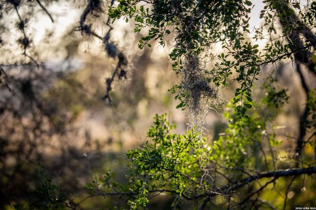 19512 Tonkawa Pass, Garden Ridge, TX 78266