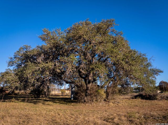 19512 Tonkawa Pass, Garden Ridge, TX 78266