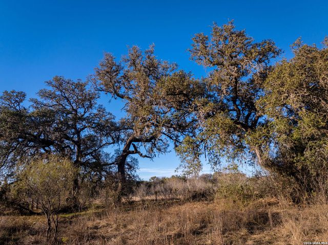 19512 Tonkawa Pass, Garden Ridge, TX 78266