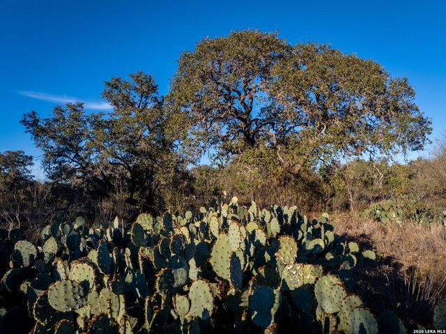 19512 Tonkawa Pass, Garden Ridge, TX 78266