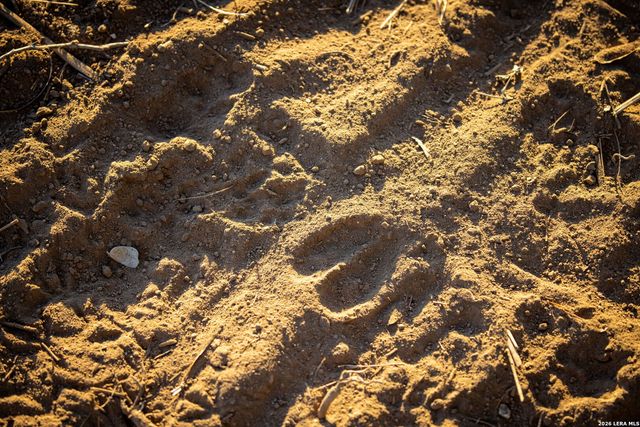 19512 Tonkawa Pass, Garden Ridge, TX 78266