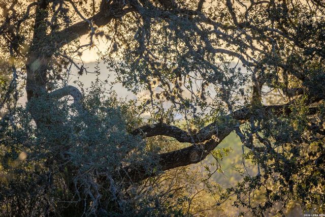 19512 Tonkawa Pass, Garden Ridge, TX 78266