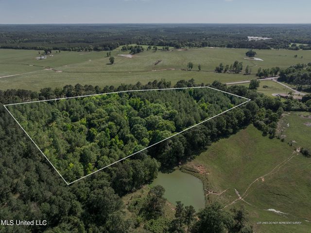 11 Acres Hwy 42, Bassfield, MS 39421
