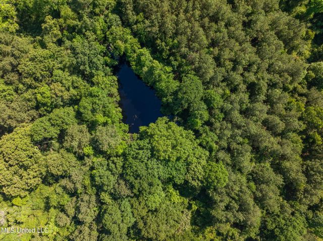 11 Acres Hwy 42, Bassfield, MS 39421