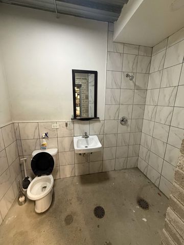 385 N Avers Avenue, Chicago, IL 60624