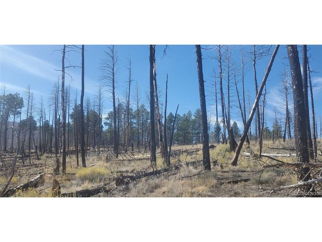 585 Leslie Loop, Fort Garland, CO 81133