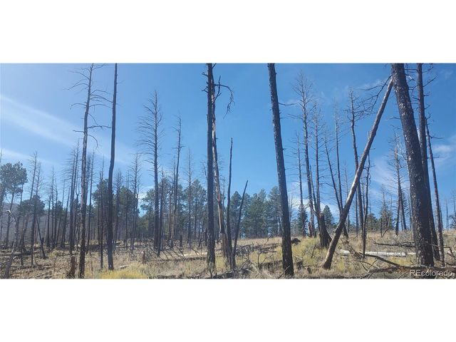 585 Leslie Loop, Fort Garland, CO 81133