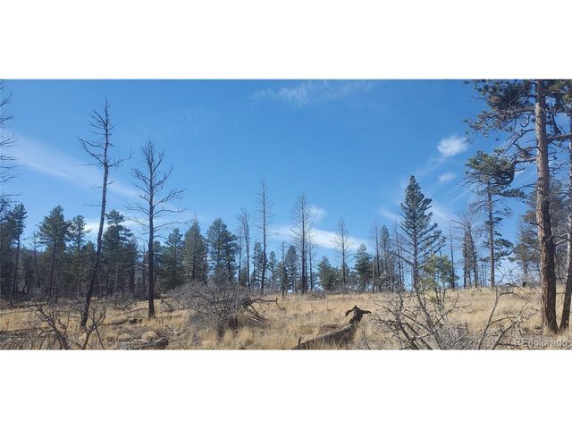 585 Leslie Loop, Fort Garland, CO 81133