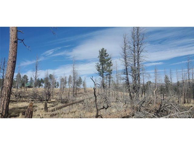 585 Leslie Loop, Fort Garland, CO 81133