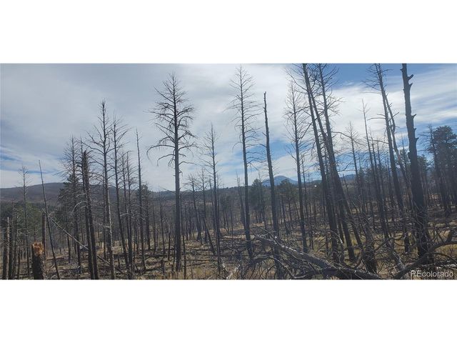 585 Leslie Loop, Fort Garland, CO 81133