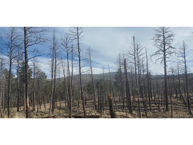 585 Leslie Loop, Fort Garland, CO 81133