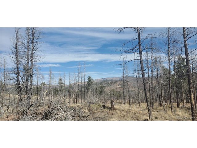 585 Leslie Loop, Fort Garland, CO 81133