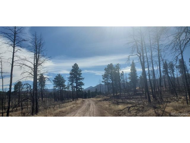 585 Leslie Loop, Fort Garland, CO 81133