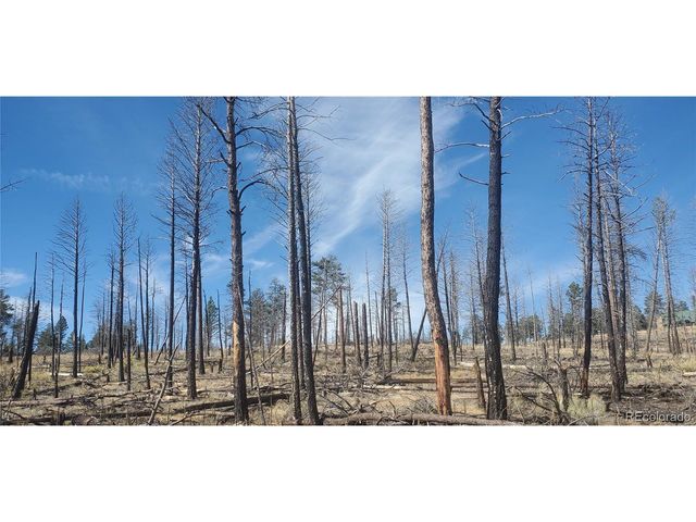 585 Leslie Loop, Fort Garland, CO 81133