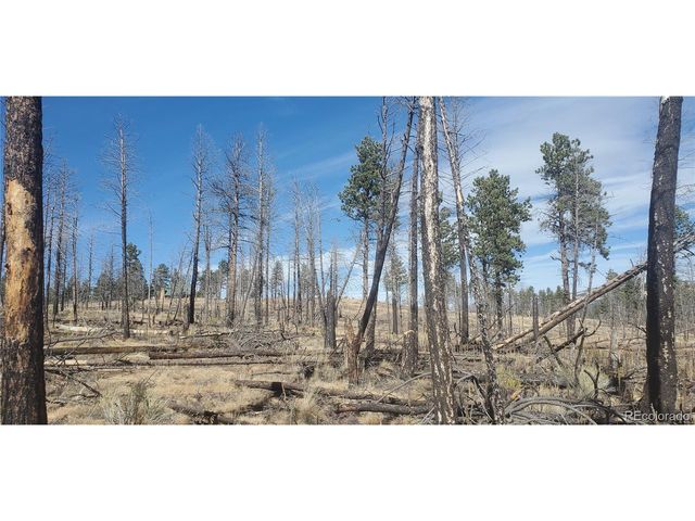 585 Leslie Loop, Fort Garland, CO 81133