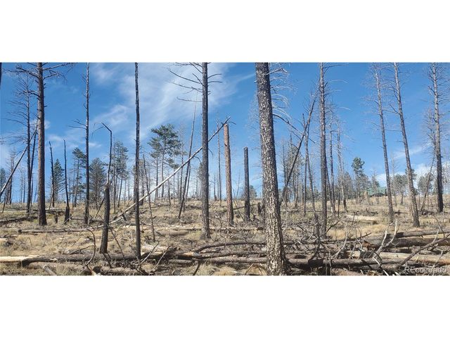 585 Leslie Loop, Fort Garland, CO 81133