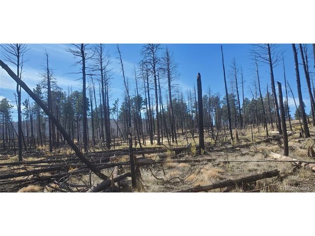 585 Leslie Loop, Fort Garland, CO 81133