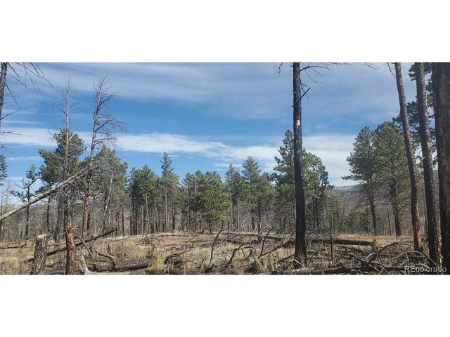 585 Leslie Loop, Fort Garland, CO 81133