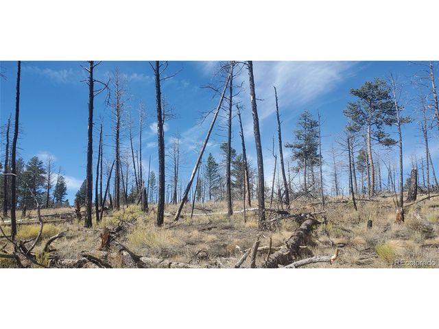 585 Leslie Loop, Fort Garland, CO 81133