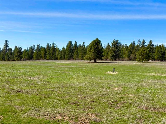 280 Brook Dr, Elk, WA 99009