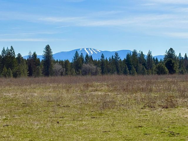 280 Brook Dr, Elk, WA 99009