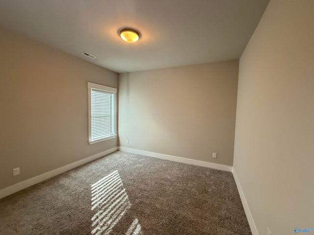 170 Rosemary Ayers Drive, Madison, AL 35756